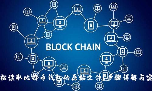 如何轻松读取比特币钱包的原始文件?步骤详解与实用技巧