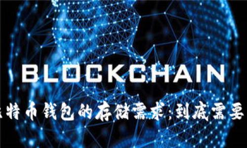 了解比特币钱包的存储需求：到底需要多少G？