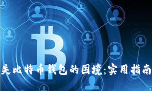 如何处理丢失比特币钱包的困境：实用指南与应对策略