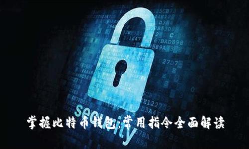 掌握比特币钱包:常用指令全面解读