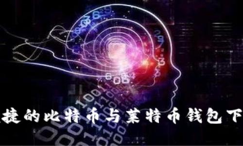 安全便捷的比特币与莱特币钱包下载指南