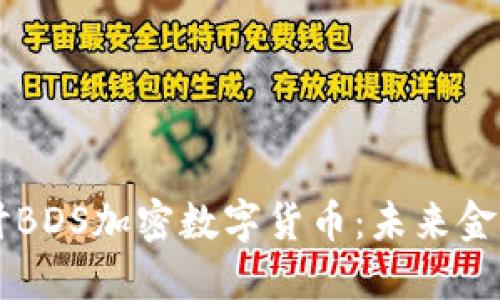 深入探讨BDS加密数字货币:未来金融的新星