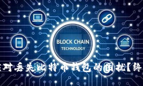 如何应对丢失比特币钱包的困扰?终极指南