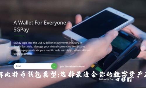 深入了解比特币钱包类型:选择最适合你的数字资产存储方案