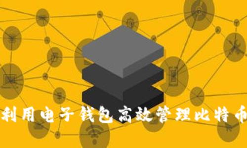 如何利用电子钱包高效管理比特币资产