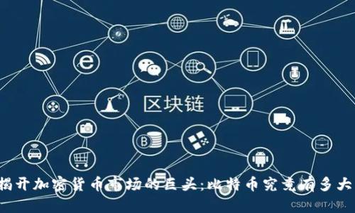 揭开加密货币市场的巨头:比特币究竟有多大?