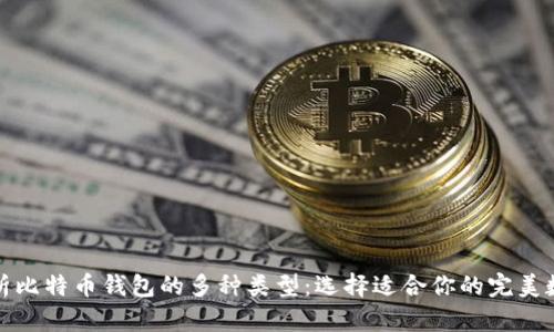 全面解析比特币钱包的多种类型：选择适合你的完美数字金库