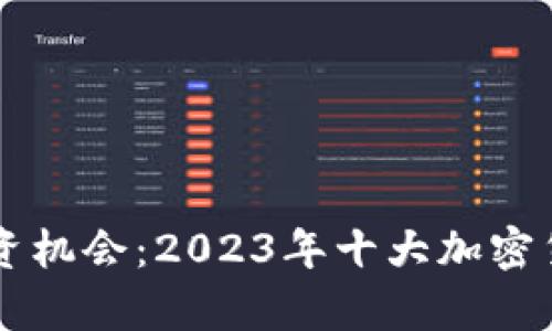 寻找最佳投资机会：2023年十大加密货币详细分析