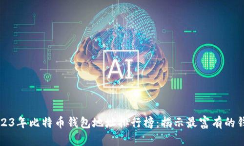 2023年比特币钱包地址排行榜:揭示最富有的钱包