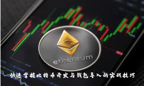 快速掌握比特币开发与钱包导入的实战技巧