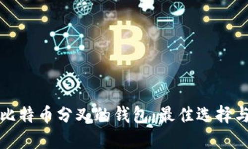 探索支持比特币分叉的钱包:最佳选择与操作指南