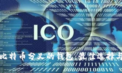 探索支持比特币分叉的钱包:最佳选择与操作指南