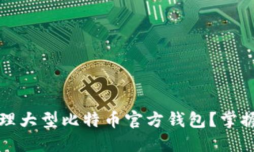 如何高效管理大型比特币官方钱包?掌握策略与技巧