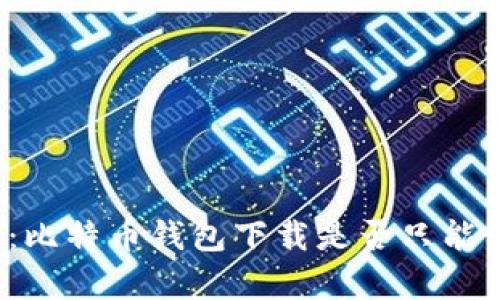 全面解析:比特币钱包下载是否只能使用英文?
