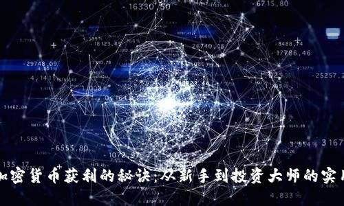 揭秘加密货币获利的秘诀:从新手到投资大师的实用指南