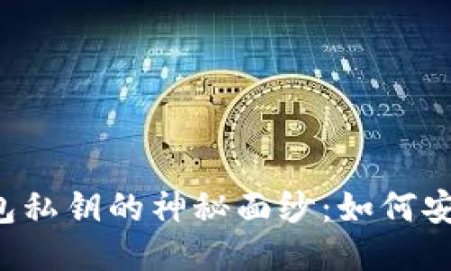 揭开比特币钱包私钥的神秘面纱：如何安全管理与保护！