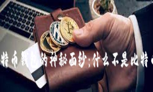揭开比特币钱包的神秘面纱:什么不是比特币钱包?