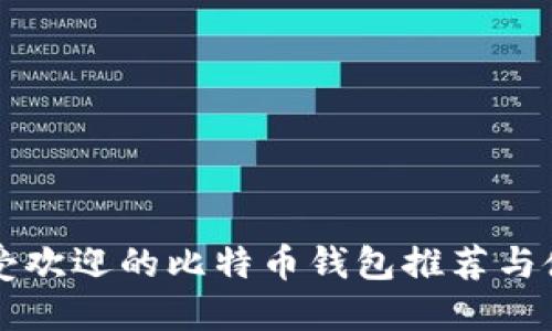 国内最受欢迎的比特币钱包推荐与使用指南