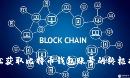 轻松获取比特币钱包账号的终极指南