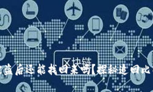 比特币钱包被盗后还能找回来吗？探秘追回比特币的可能性