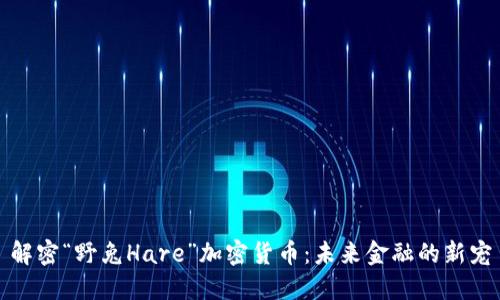 解密“野兔Hare”加密货币:未来金融的新宠