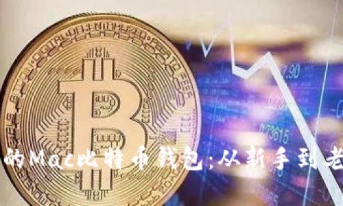 如何安全备份你的Mac比特币钱包：从新手到老司机的完全指南