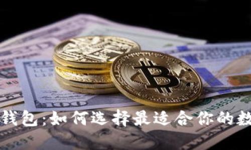 深入探讨比特币钱包：如何选择最适合你的数字资产管理工具