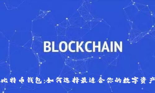深入探讨比特币钱包：如何选择最适合你的数字资产管理工具