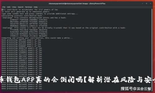 比特币钱包APP真的会倒闭吗？解析潜在风险与安全对策