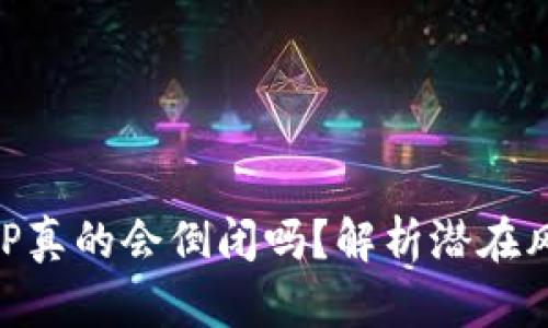 比特币钱包APP真的会倒闭吗？解析潜在风险与安全对策