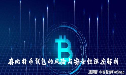 存比特币钱包的风险与安全性深度解析