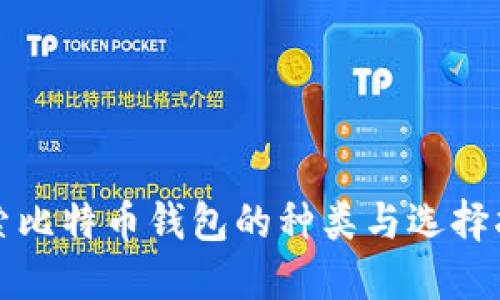 探索比特币钱包的种类与选择指南