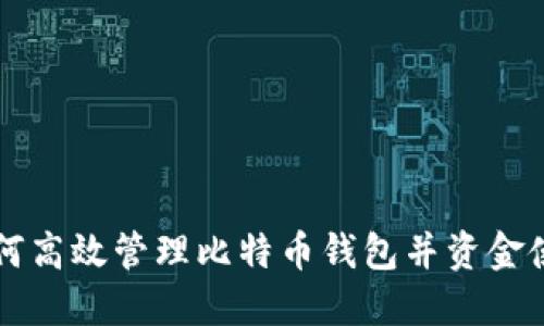 如何高效管理比特币钱包并资金使用