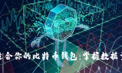 如何选择适合你的比特币钱包:掌握数据量及安全性