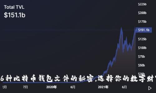 揭秘16种比特币钱包文件的秘密,选择你的数字财富之钥
