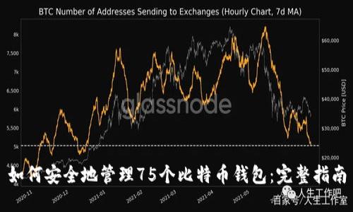 如何安全地管理75个比特币钱包:完整指南