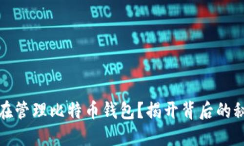 谁在管理比特币钱包?揭开背后的秘密