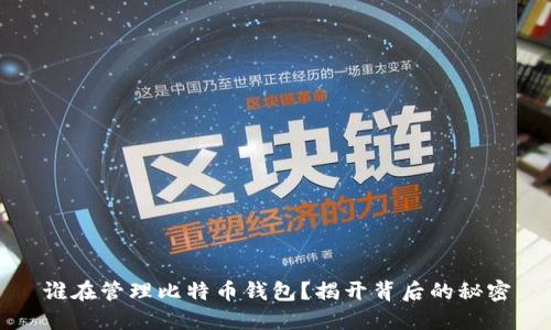 谁在管理比特币钱包?揭开背后的秘密