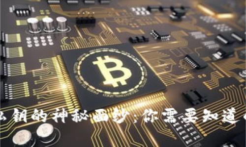 揭开比特币钱包私钥的神秘面纱：你需要知道的位置和保护方法