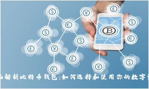 全面解析比特币钱包:如何选择和使用你的数字资产