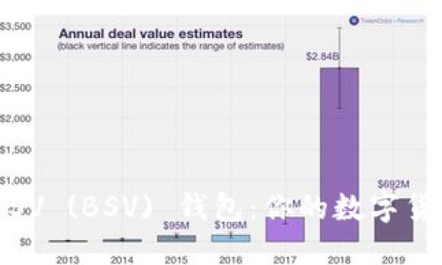 探索比特币SV (BSV) 钱包：你的数字货币安全之钥
