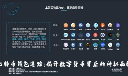 比特币钱包追踪:揭开数字货币背后的神秘面纱