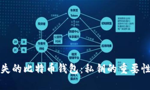 如何找回丢失的比特币钱包：私钥的重要性与恢复方法