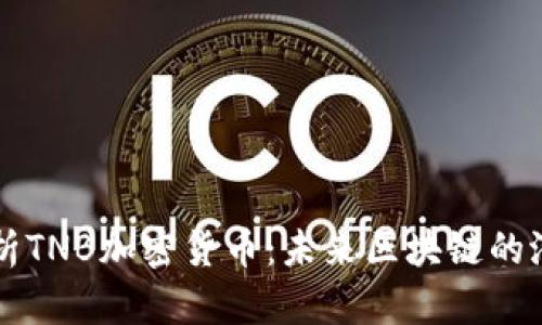 全面解析TNB加密货币：未来区块链的潜力之星