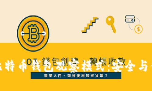 深入探索比特币钱包观察模式：安全与便利的结合