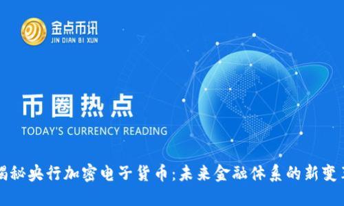揭秘央行加密电子货币：未来金融体系的新变革