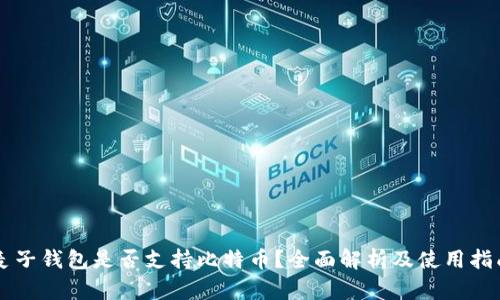 麦子钱包是否支持比特币?全面解析及使用指南