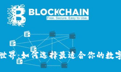 探索比特币钱包的世界:如何选择最适合你的数字资产存储解决方案