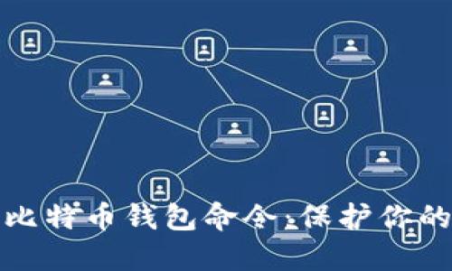 深入了解比特币钱包命令：保护你的私钥安全