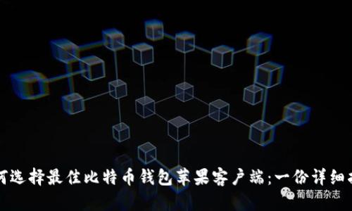 如何选择最佳比特币钱包苹果客户端:一份详细指南